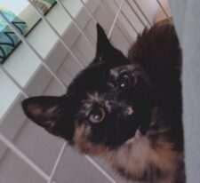 らぶり