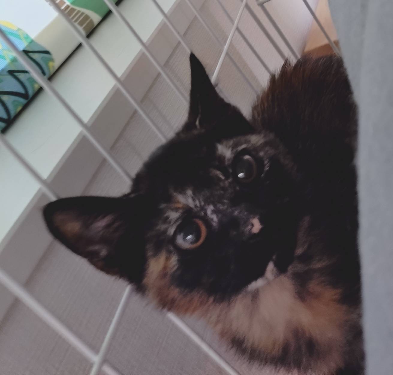 らぶり