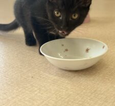 黒しま