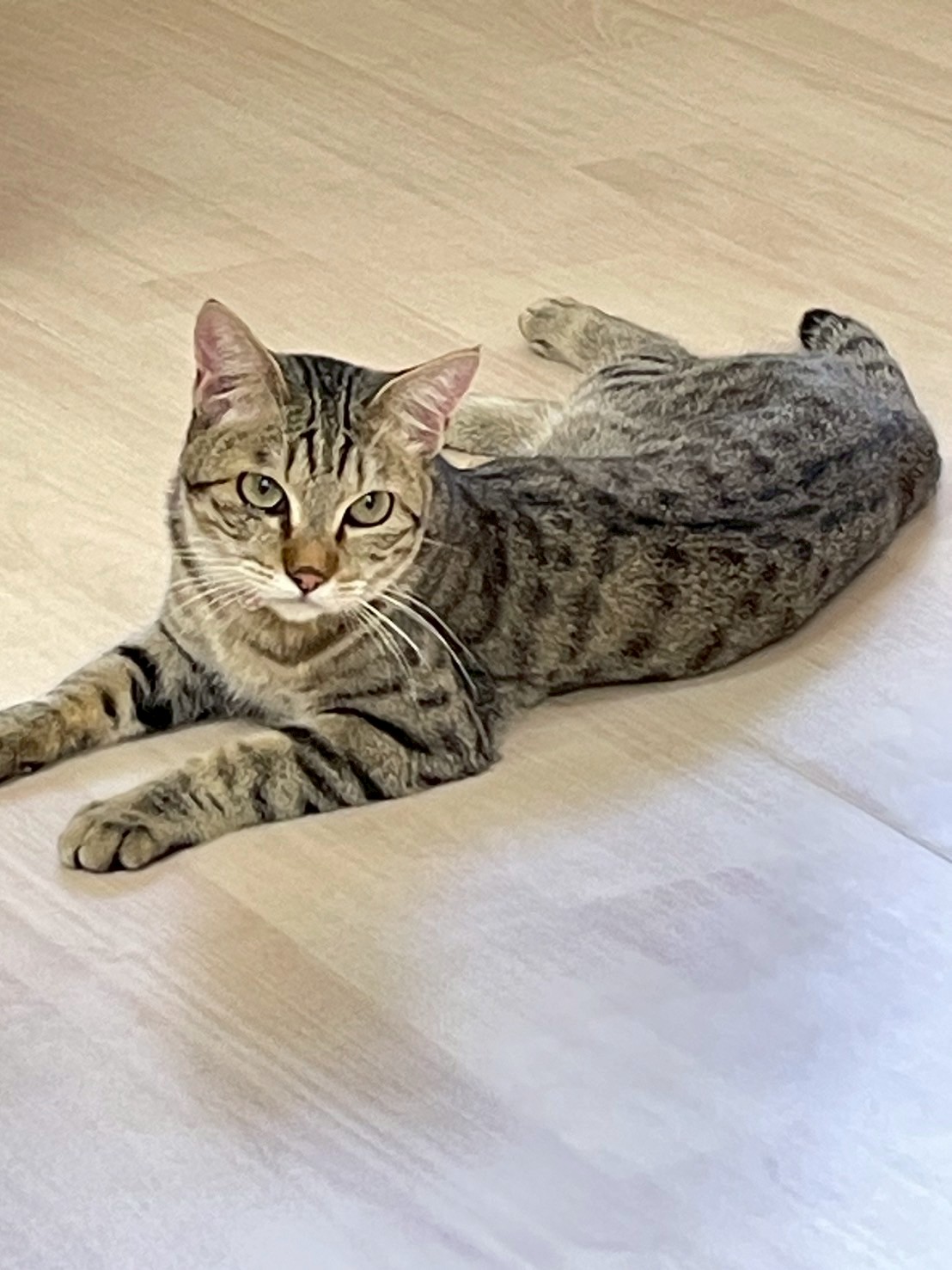 しゅんた